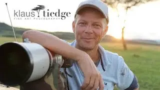 Pride of Africa - Fine Art Wildlife Photography - Klaus Tiedge