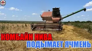 На пшеницу не поехали, зато выехали на ячмень! Комбайн НИВА СК 5 М 1