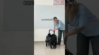 Peg Perego Коляска прогулочная Selfie Plus