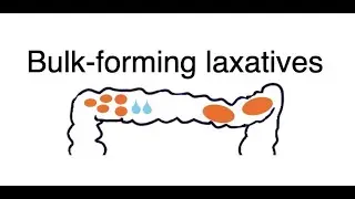 Laxatives and antidiarrheal agents; Drugs that promote or reduce bowel evacuation