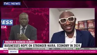 Naira Crash's Effect on Projected Export Earnings in 2024: An Analysis by Bamidele Ayemibo