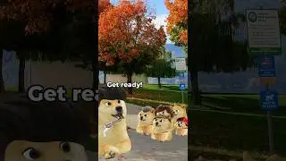 lil doge Easter egg hunt