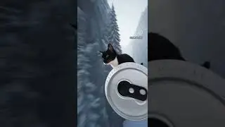 cat monster #funny #offroad #cute #memes #animals #wildlife #edit #racing