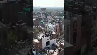 ham logo ki kabutar Baji 🤣😂 #pigeon #virelshorts ##trending #pets #pigeonshorts