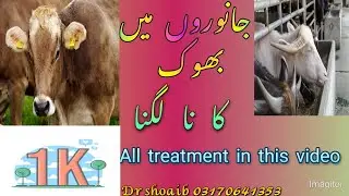 Anorexia treatment...janwro ka بھوک kam lgna..Dr shoaib  