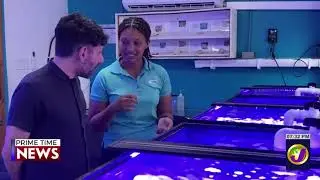 Coral Reef Restoration Programme uses Sexual Reproduction Techniques | TVJ News