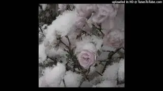 wifiskeleton + jeff buckley + jaydes rnb type beat - lilac