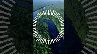 Zen Vibes in 60 Seconds: Relaxing Music for Instant Serenity 🌿🎶 #Shorts