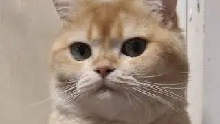 Залетел на вайп finebox !