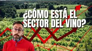 Indicadores para saber la salud del sector del  vino