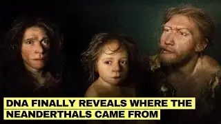 Ancient DNA Finally Solves Neanderthal Mystery And Exposes Where They REALLY Came From!