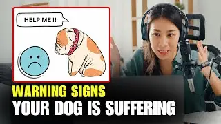 Warning Signs Your Dog Is Suffering From Boredom