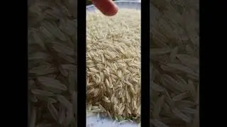 why we use sella rice?