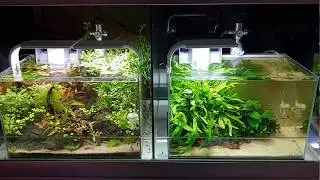 Holmen Zoo Nano