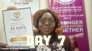 DAY 7: 