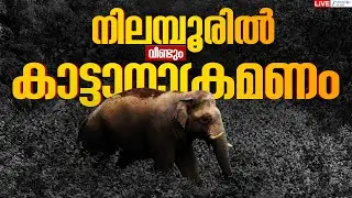 Live : Nilambur Wild Elephant Attack | നിലമ്പൂരിൽ വീണ്ടും കാട്ടാനാക്രമണം  | Zee Malayalam News