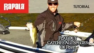 The Rapala&reg; Shad Rap&reg;: HOW TO FISH
