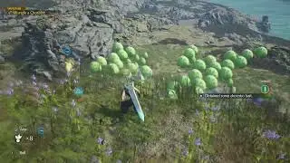 How to Wrangle the Chocobo in the Nibel Region in Final Fantasy 7 Rebirth