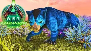 The RAREST Double Thyla Tame Insane Luck ! [ARK Survival Ascended] [ARK Ragnarok] Episode 15 #ark