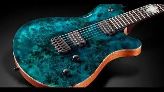 Framus Custom Shop Masterbuilt - Panthera Supreme Poplar Burl top