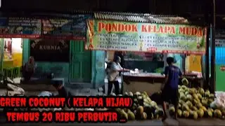 BERBURU (GREEN COCONUT) KELAPA HIJAU 20 RIBU PER BUTIR JAM 12 MALEM DI DATENGIN .
