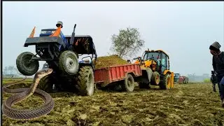 Suddenly A Snake Come to Tractor Trolley Front | After Tractor stuck in Mud Then JCB pushing them