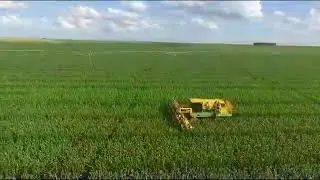 Oxbo 5170 detasseler
