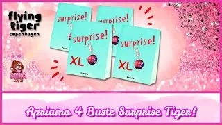 APRO QUATTRO BUSTE SURPRISE TIGER! | UNA NUVOLA DI ZUCCHERO