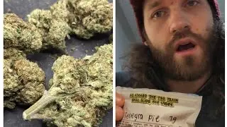 Georgia pie - thca small buds Greenhouse hemp flower review! 