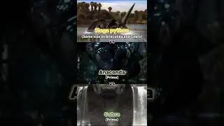 Mega python vs Anaconda 3 vs Cobra