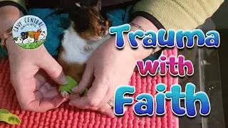 Guinea pig trauma care injury awareness with Faith showing compassion