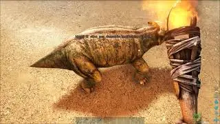 Nitro 5 AN515 45 Test Ark Survival Evolved