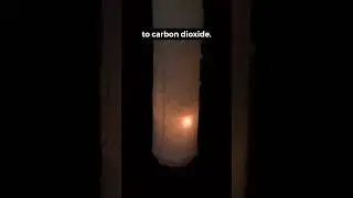 Remarkable Chemistry: Burning a Diamond?! 💎🧪