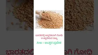 uttar Pradesh highest Wheat 🌾 production state India