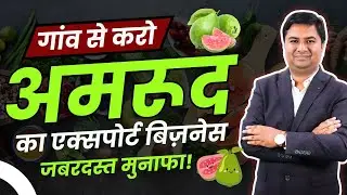 How to export guava ? | जानिए अमरुद एक्सपोर्ट करने की पूरी प्रोसेस | Guava Export