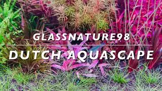MY FIRST VIDEO: DUTCH AQUASCAPE