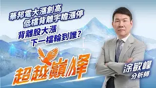 華邦電大漲創高 低檔背離宇瞻漲停 背離股大漲下一檔輪到誰？｜20251230｜涂敏峰 分析師｜超越巔峰