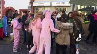 Weinheimer Marktplatz-Fasching 2018 | wnoz