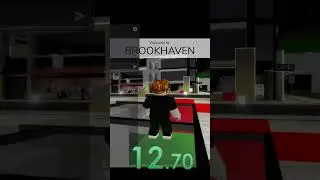 Roblox Ban Speedrun WORLD RECORD [26.42]