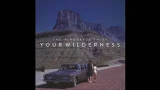 The Pineapple Thief / Your Wilderness