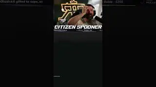 Hackers delete hangar..this is fine. | #citizenspooner on #Twitch