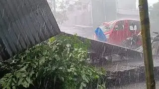 14 Killed in Storm, Lightning in Assam in India