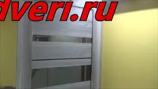 777dveri.ru Омск Ex Pro 4 Ривьера грей зеркало графит межкомнатная дверь
