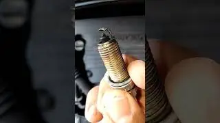 Reading your spark plugs and what it means for your engine pt2 #shorts #short #fyp