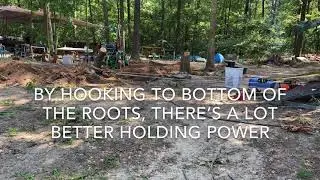Stump Removal with Winch