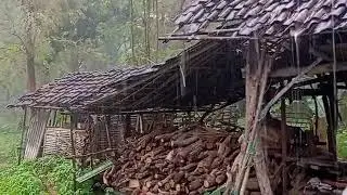 Gentle Rain in a Peaceful Countryside &ndash; Deep Relaxation Sounds