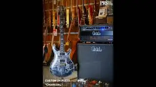 PRS Guitar PAUL REED SMITH - CUSTOM 24 PIEZO 
