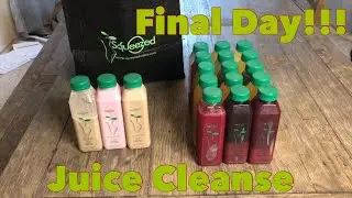 Squeezed Juice Cleanse Day 3/Final Results