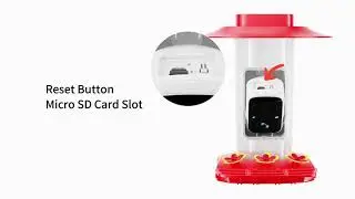 SV3C Hummingbird Feeder with Camera- add it to APP Vicohome