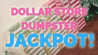 DOLLAR STORE- DUMPSTER DIVING - JACKPOT!!